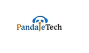 Pandaje Technical Support : A Leading Remote Technical Support Provide